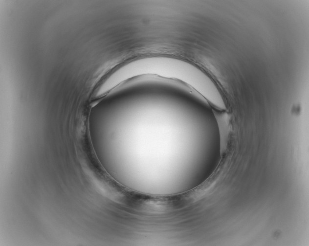 X0000093110164200710241249