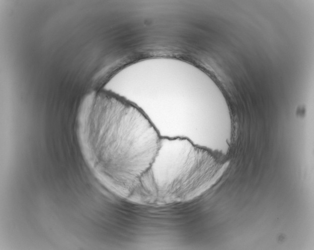 X0000093110165200710241249