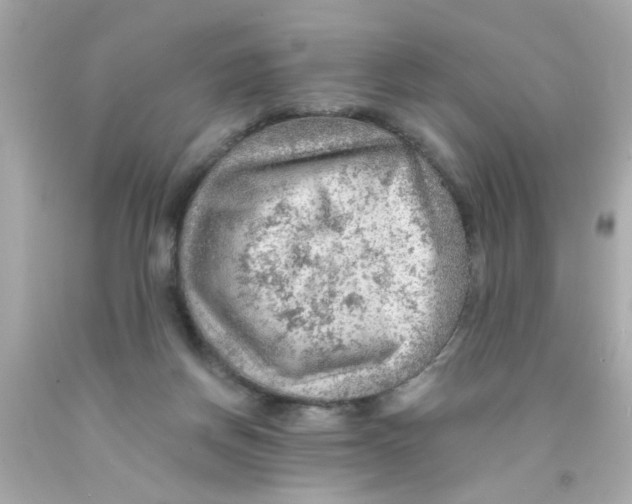 X0000093110166200710241249