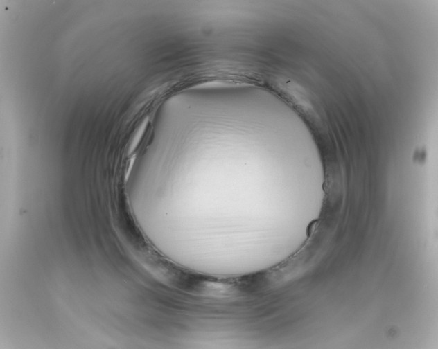 X0000093110167200710241249