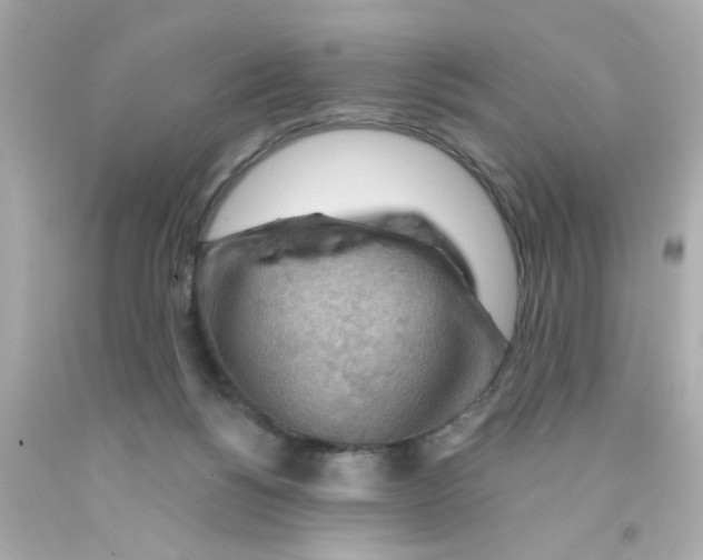 X0000093110168200710241249