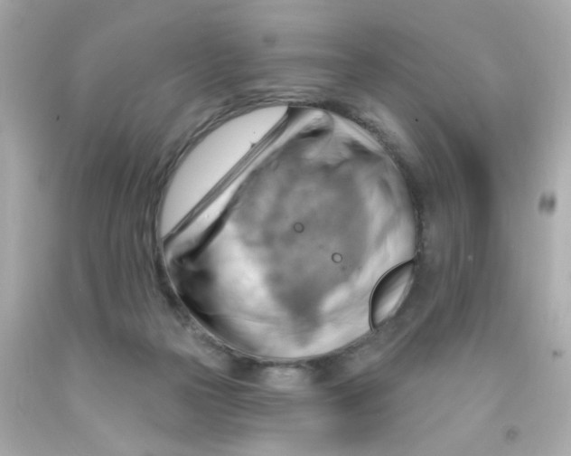 X0000093110169200710241249