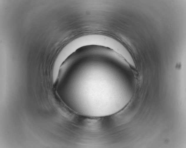 X0000093110170200710241249