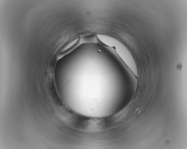 X0000093110172200710241249