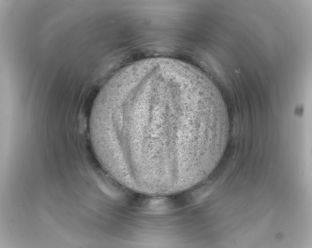 X0000093110173200710241249