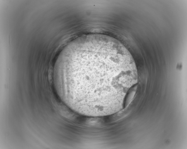 X0000093110175200710241249