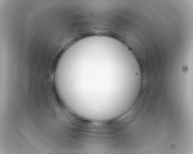 X0000093110176200710241249