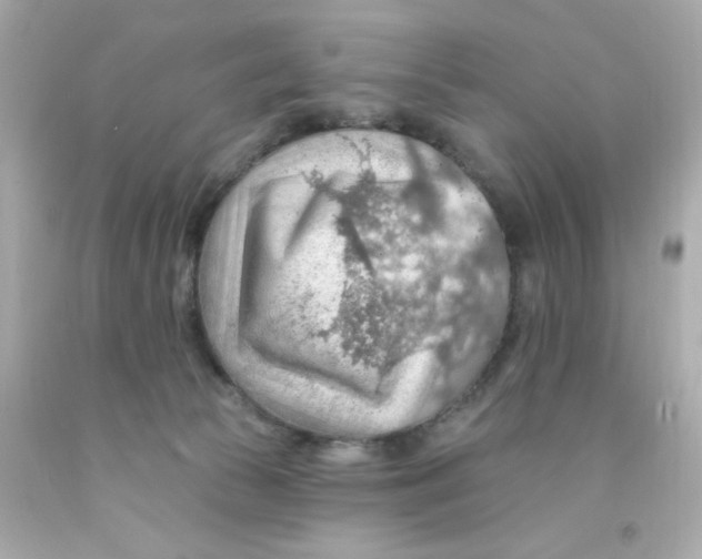 X0000093110177200710241249