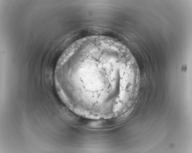 X0000093110178200710241249