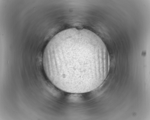 X0000093110179200710241249