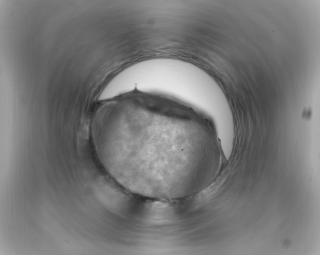 X0000093110180200710241249