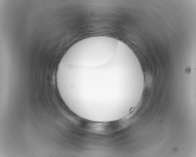 X0000093110182200710241249