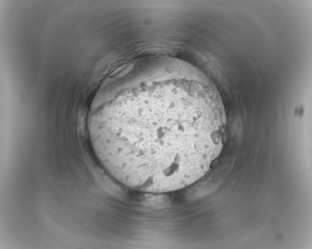 X0000093110185200710241249