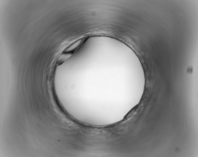 X0000093110193200710241249