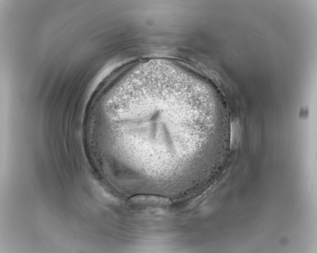 X0000093110195200710241249