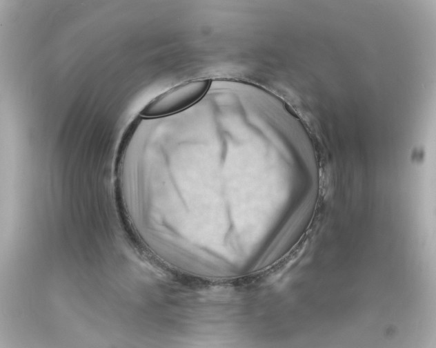 X0000093110196200710241249