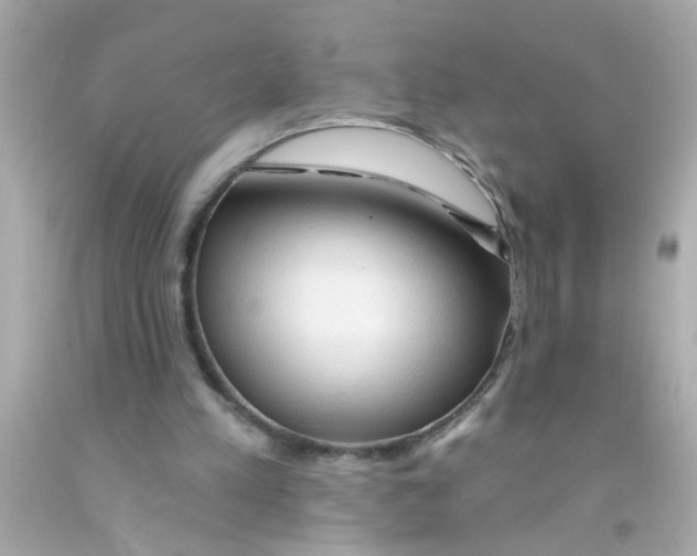 X0000093110197200710241249