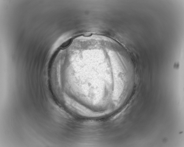 X0000093110198200710241249