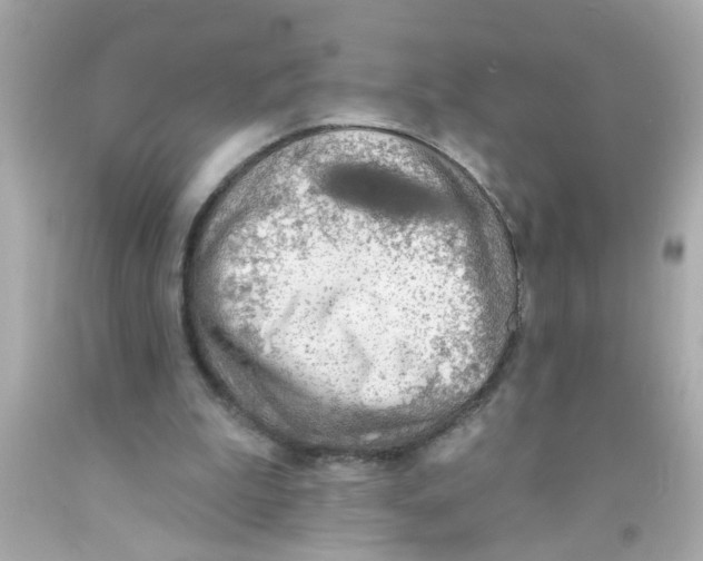 X0000093110199200710241249