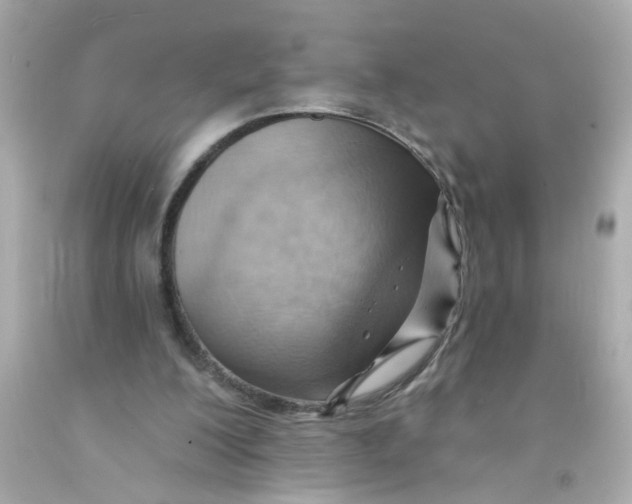 X0000093110200200710241249