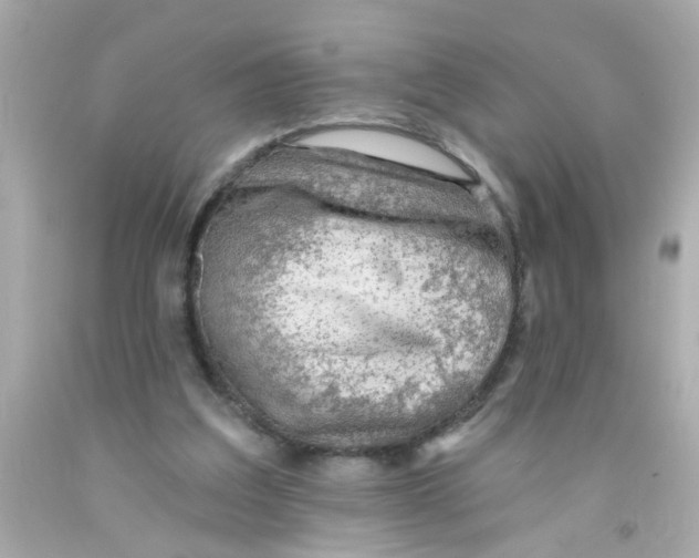 X0000093110203200710241249