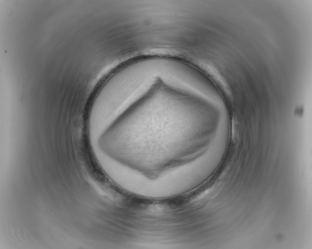 X0000093110204200710241249