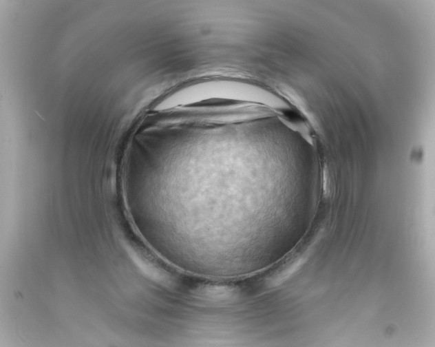 X0000093110205200710241249