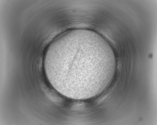 X0000093110206200710241249