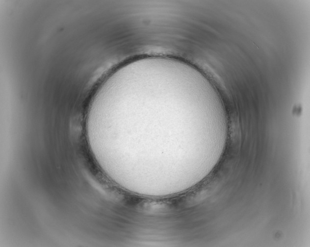 X0000093110208200710241249