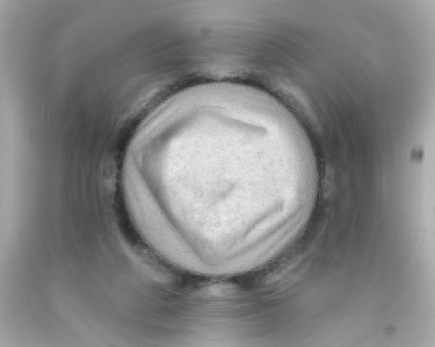 X0000093110210200710241249