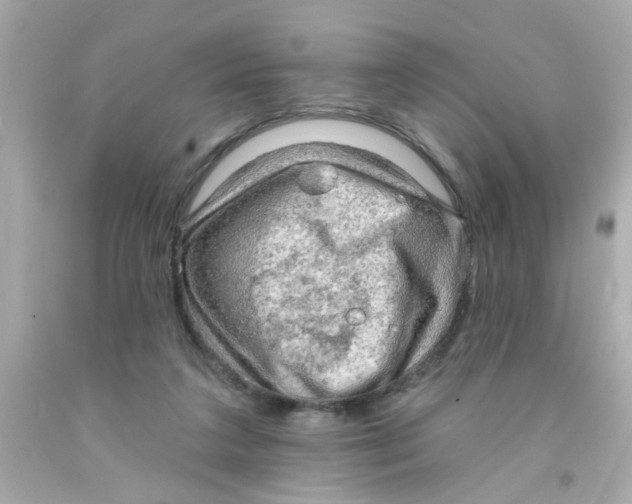 X0000093110211200710241249