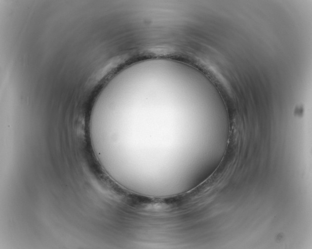 X0000093110212200710241249