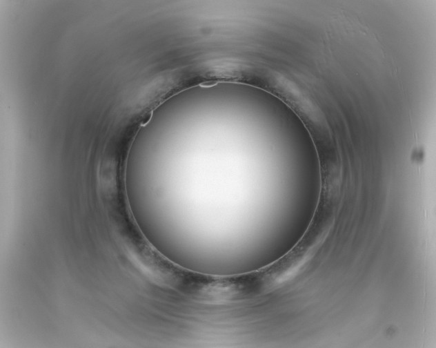 X0000093110213200710241249