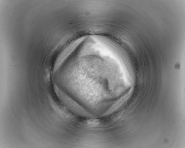 X0000093110214200710241249