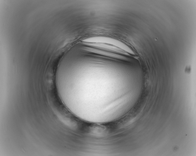 X0000093110215200710241249