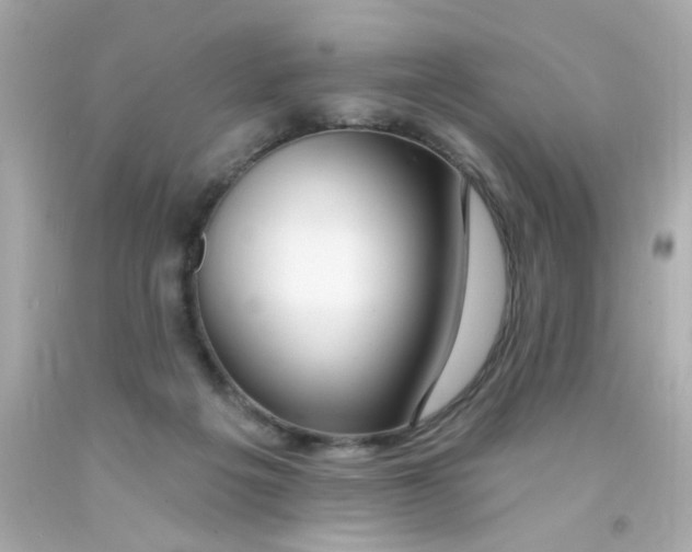 X0000093110217200710241249