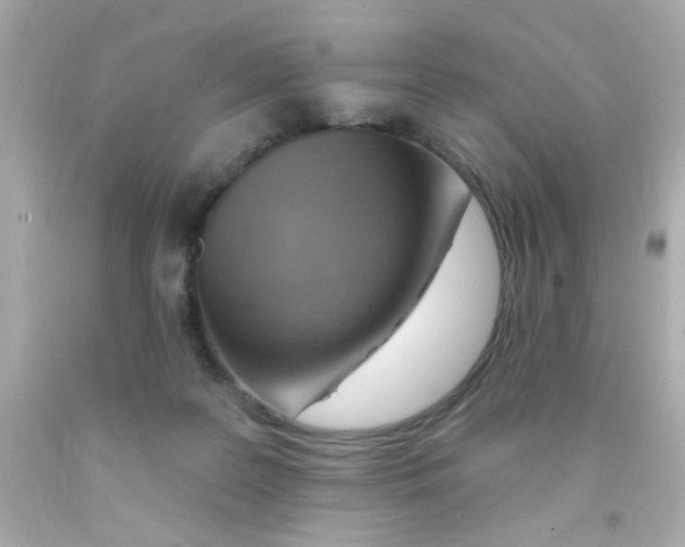 X0000093110219200710241249