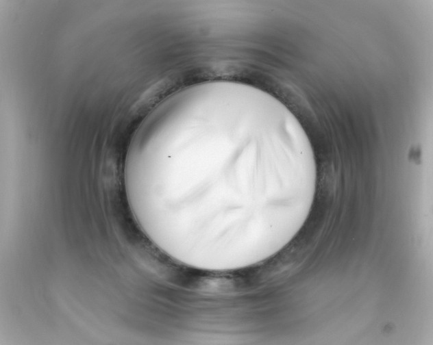 X0000093110220200710241249