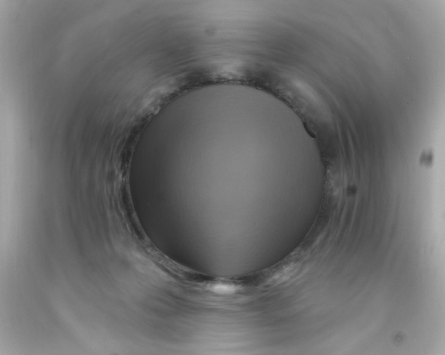 X0000093110223200710241249