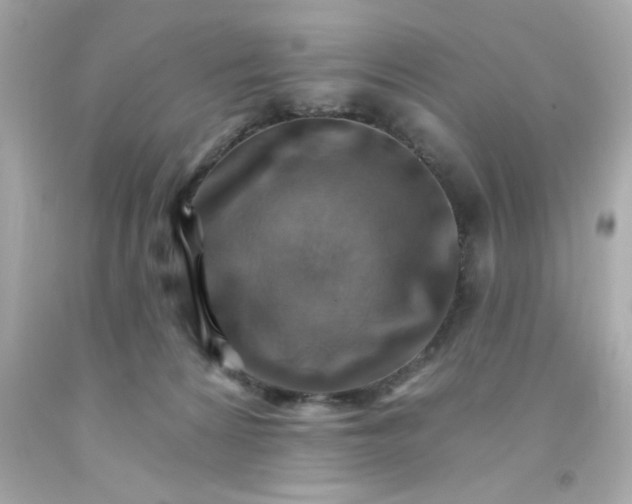 X0000093110224200710241249