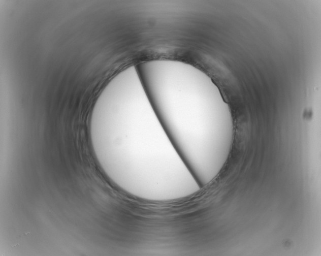 X0000093110225200710241249