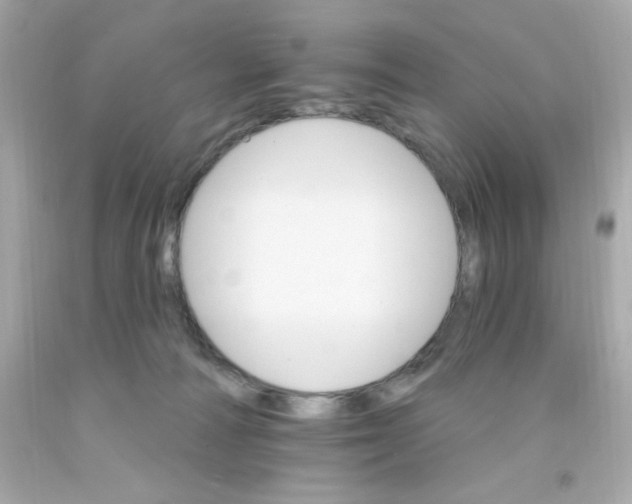 X0000093110226200710241249