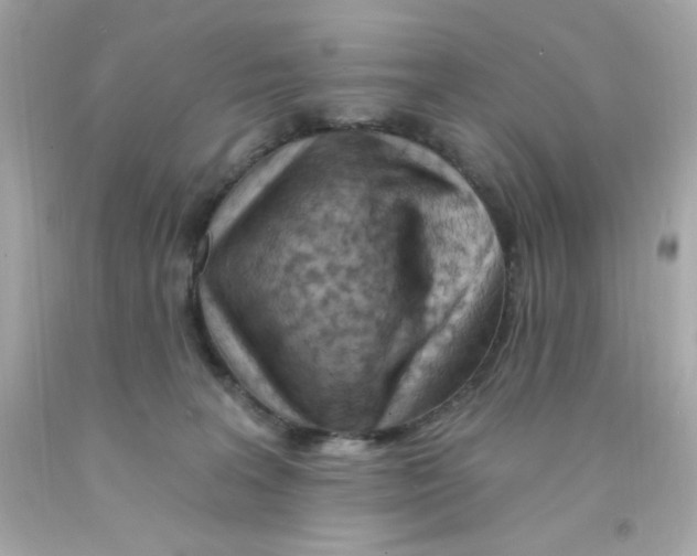 X0000093110227200710241249