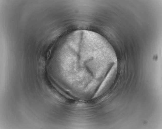 X0000093110228200710241249