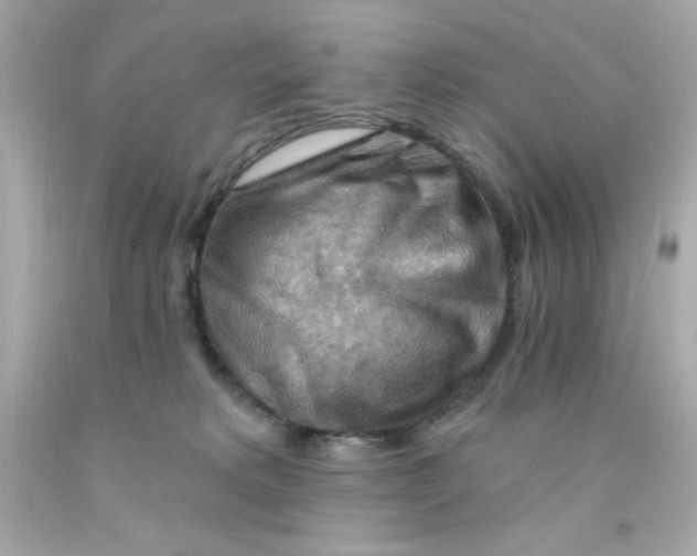 X0000093110229200710241249