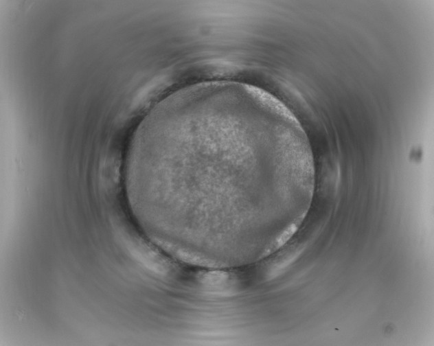 X0000093110230200710241249