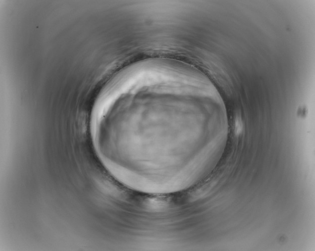 X0000093110232200710241248