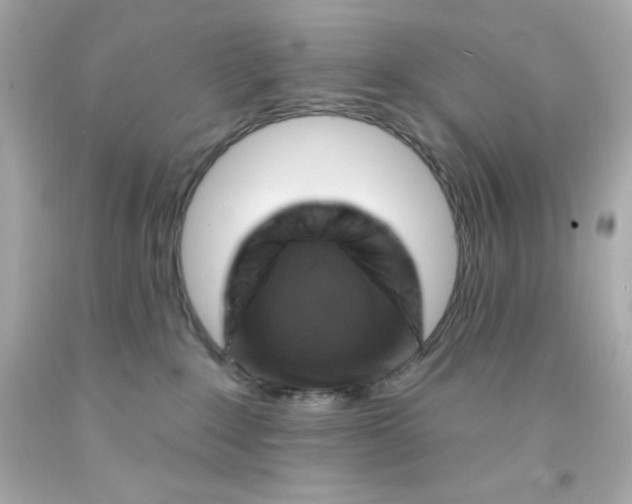 X0000093110235200710241248