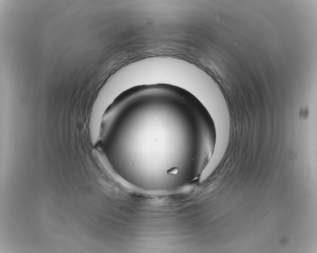 X0000093110237200710241248