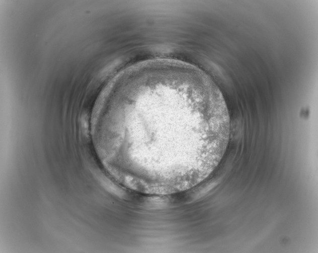 X0000093110238200710241248